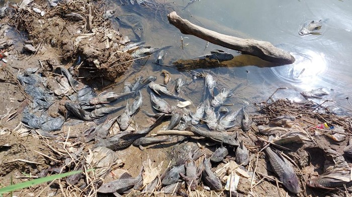Legislator Desak DLH Bogor Tegas ke Pelaku Pencemaran Sungai Cileungsi